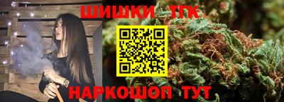индика Ирбит