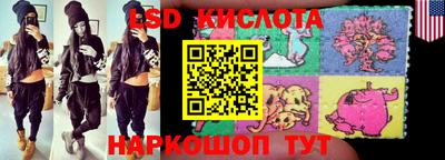 индика Ирбит