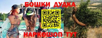 индика Ирбит