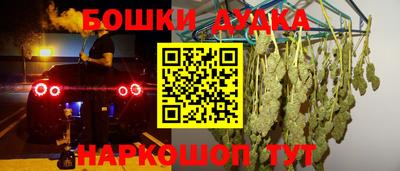 индика Ирбит