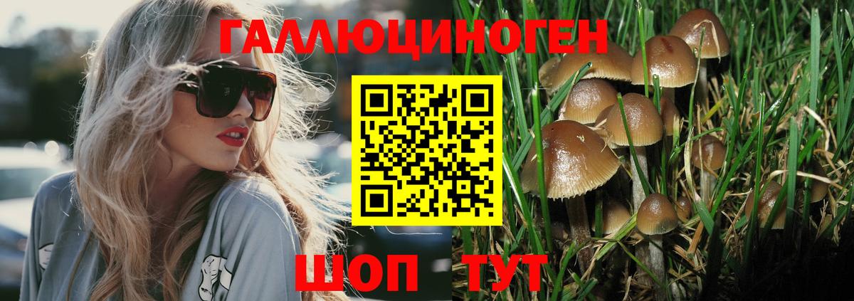 Псилоцибиновые грибы мицелий  Псилоцибиновые грибы мухоморы  Магадан  Вход с VPN 